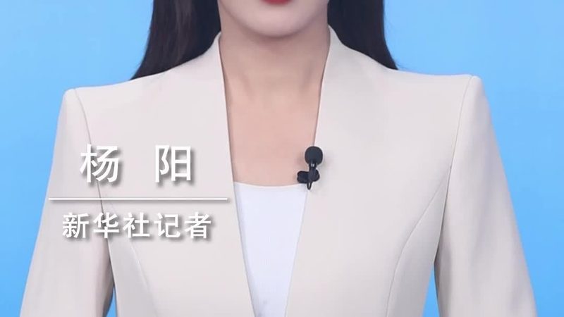 人工智能应用趋势解析：十大品牌引领未来